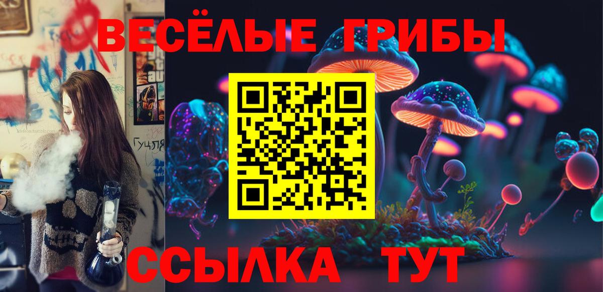 Псилоцибиновые грибы Magic Shrooms  Вход с VPN  купить наркотики цена  Кемерово  Галлюциногенные грибы Psilocybe 