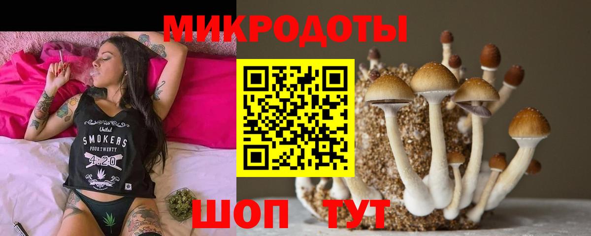 Псилоцибиновые грибы GOLDEN TEACHER Кемерово